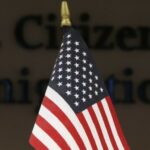 Indian CEO Should Get Second Shot at Visa Extension, Court Says