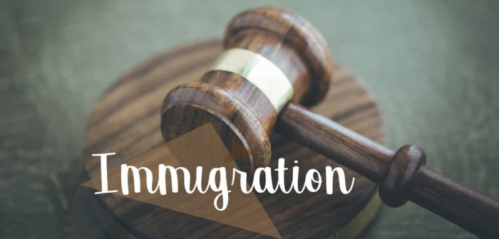 Types of Immigration Appeals
