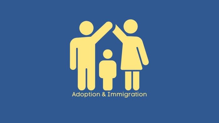 Adoption and Immigration: Orphan Adoption Process