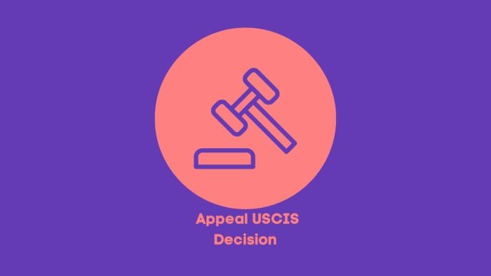 Ways to Appeal a USCIS Decision